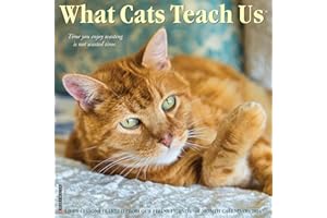 Willow Creek Press What Cats Teach Us Monthly 2024 Wall Calendar (12" x 12")