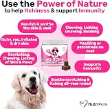 NutriPaw All-Itch Immunity Treats for Dogs Trio Pack view 2
