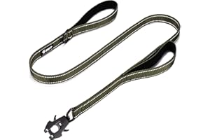 GEIT 4/5/6FT Heavy Duty Dog Leash with 2 Comfortable Padded Handles, Reflective Rope Leashes with Quick Release/Locking Tactical Frog Clip for Small Medium and Large Dogs, Army Green