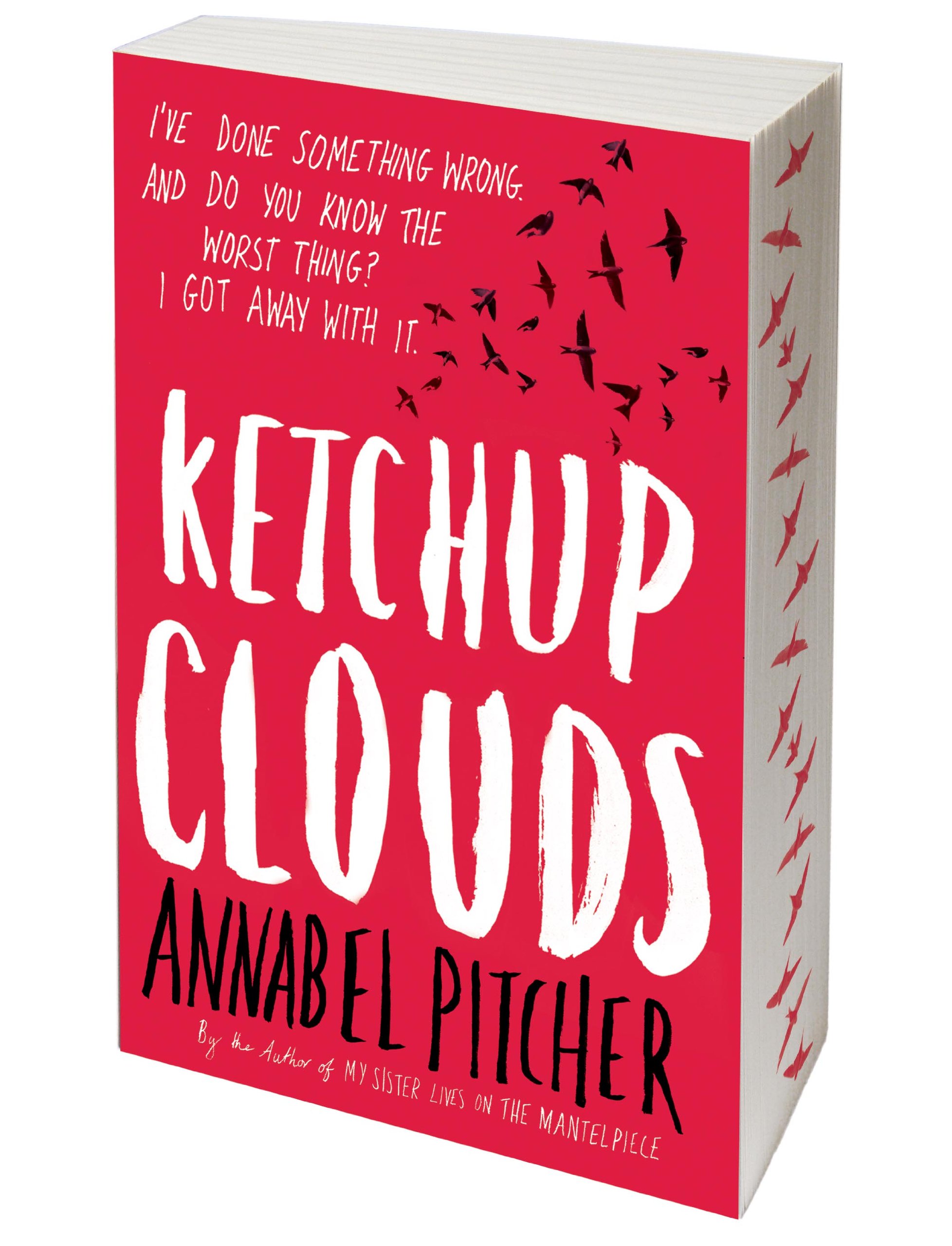 Ketchup Clouds 132 Jeunesse Pitcher Annabel 9781780620312 Amazon Com Books