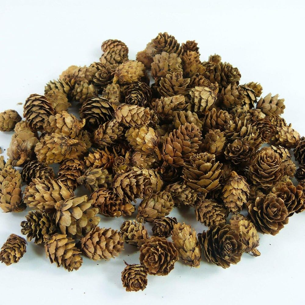 Craftplay Larch Cones 125 g Natural Crafting Potpourri 98 pcs