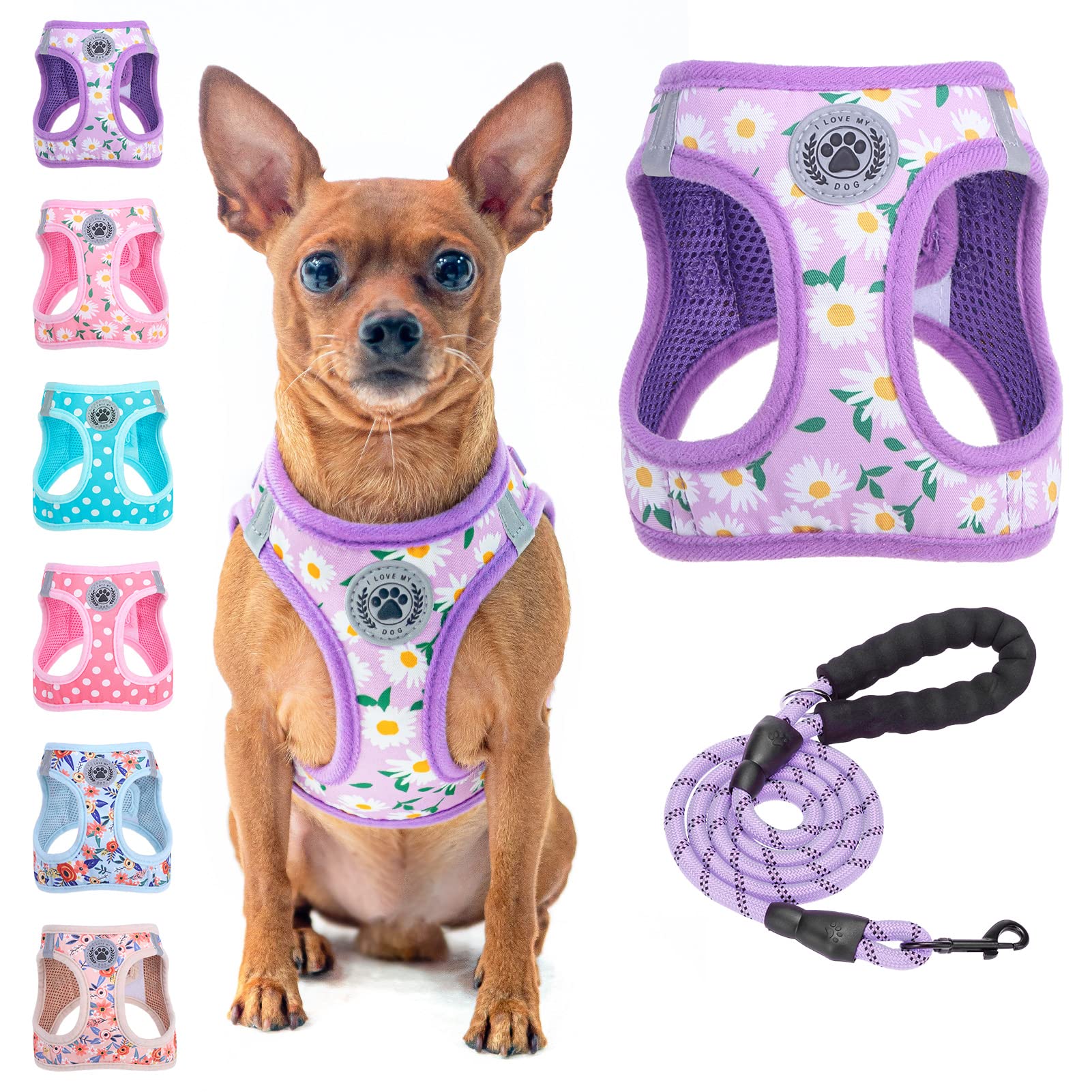 BEAUTYZOO Small Dog Harness and Leash Set, Step in Floral Pattern Dog Harness No Pull No Choke Puppy Harness Reflective for XXS XS S Dogs Cats, Soft Padded Mesh Vest Harnesses Girl and Boy Pets — image 1