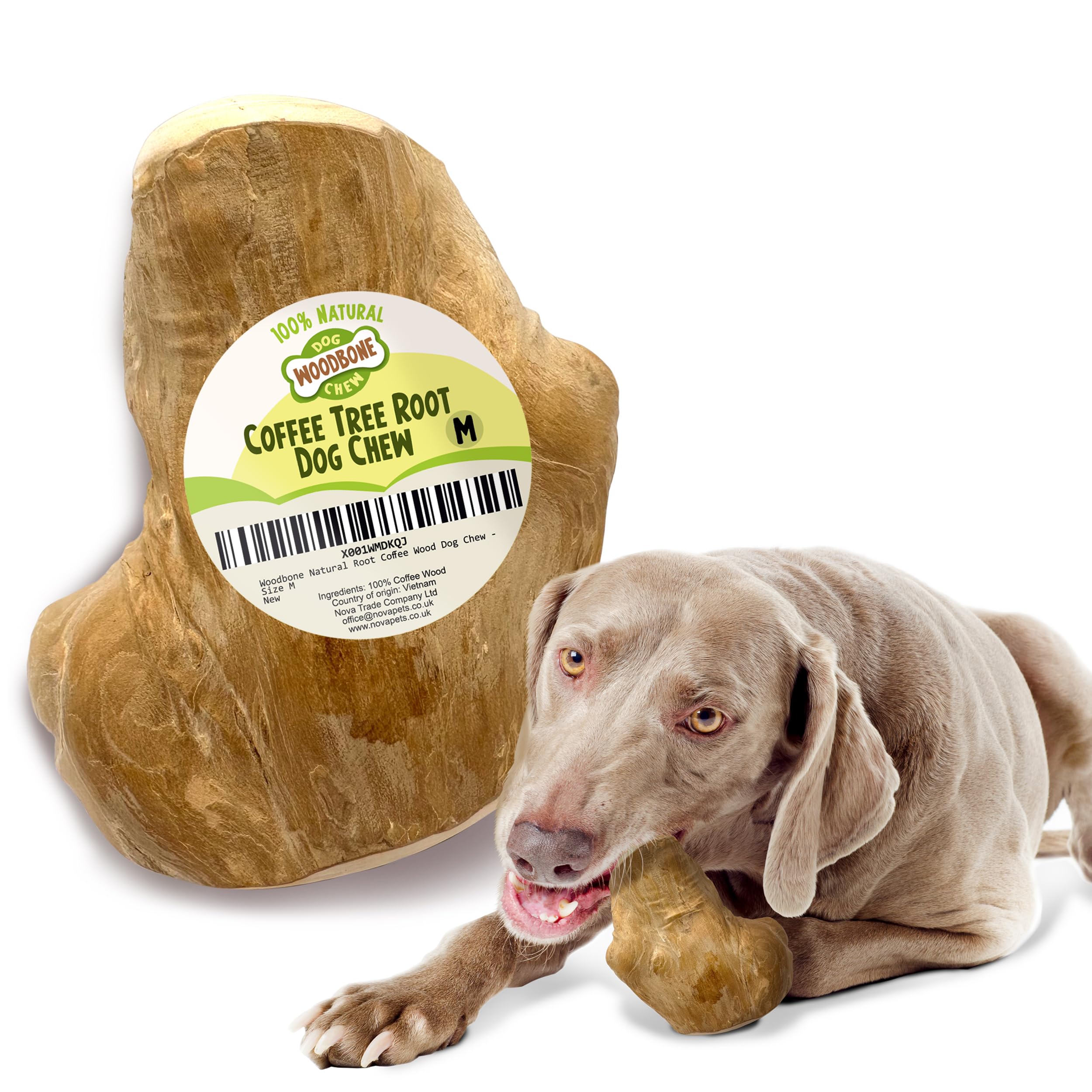 Woodbone Coffee Tree Root Dog Chew for Medium Dogs - Natural Wood Dental Chewing Toy - Size M