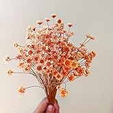 200 Stems Natural Dried Flowers Brazilian Small Star Daisy Dried Decorative Mini Chamomile Bouquet for Wedding Floral Arrangements Home Decorations Valentine's Day Gifts (Orange)