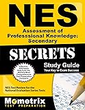 Nes Assessment Of Professional Knowledge Elementary