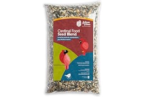 Schoen Farms Cardinal Blend – 3.18 kg Bag – Premium Seed Mix for Cardinals, Jays & Songbirds – with Sunflower, Safflower & Ch
