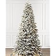 Balsam Hill 7.5ft Pre-Lit Fraser Fir Frosted Artificial Christmas Tree with LED Clear Lights
