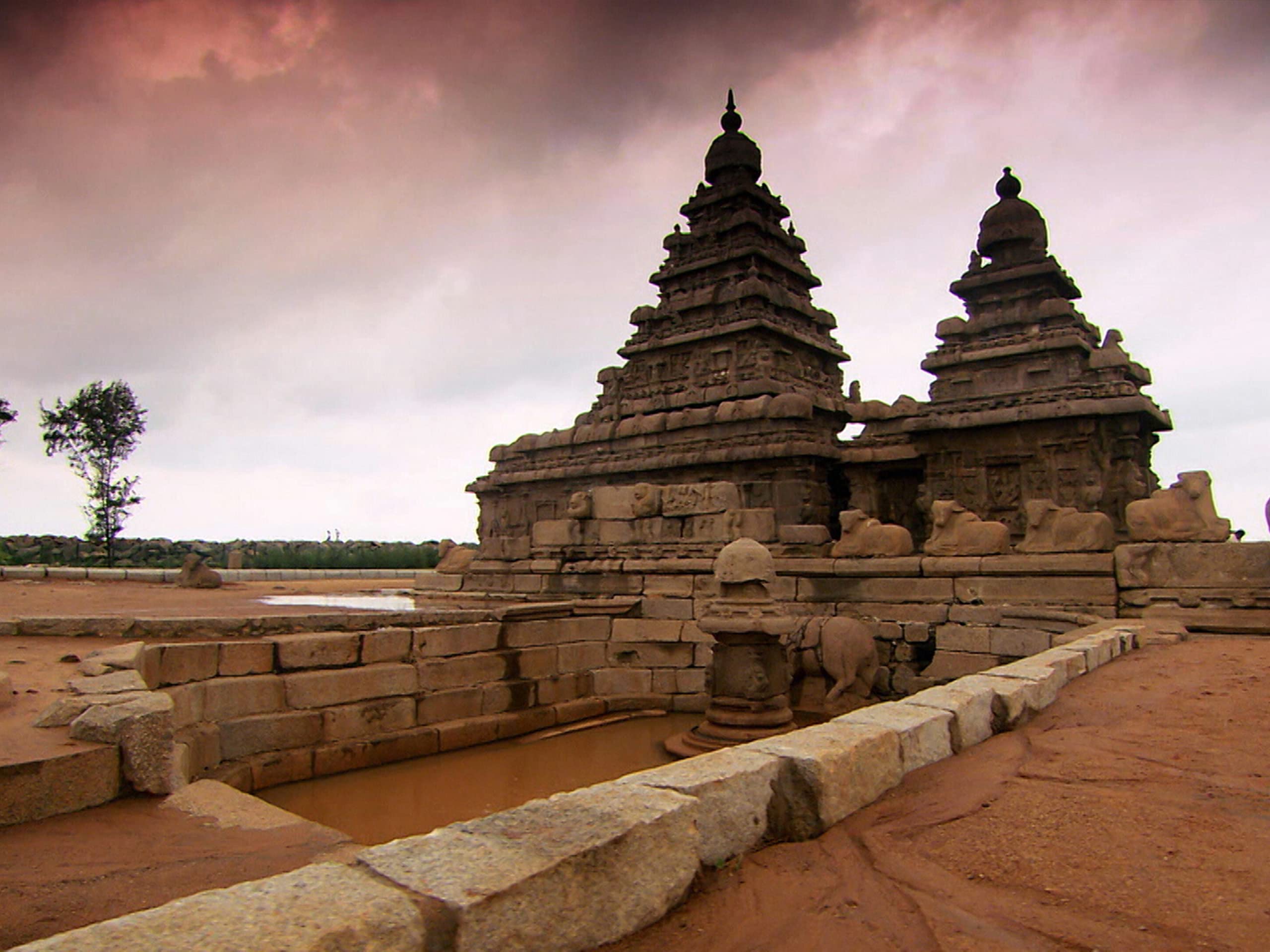 Amazon Co Jp 古代の宇宙人を観る Prime Video