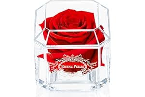 A 100% Real Rose That Lasts A Year - The Perfect Unique Gift for Women and Men,A Birthday Gift (Red)