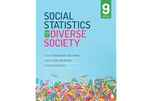 Social Statistics for a Diverse Society