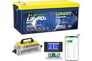 LOSSIGY 48V Lithium Golf Cart Battery with 18A Lithium Charger and Monitor, 48 Volt Battery Conversion Kit, Built in 200A Bluetooth, Peak Current 1000A(3-5s), Prefect for RV, Solar System