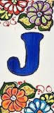 House letters 6 inch. Handpainted house letter