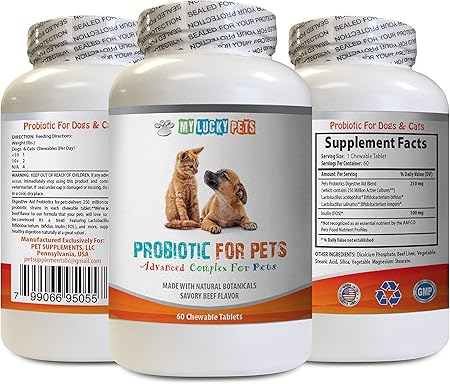 dogs bad breath from stomach