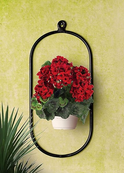 Devasmita Wall Mounted Powder Coated Iron Plant Stand Wall Planter for Balcony for Diwali Gift or Decoration (Capsule Shape)