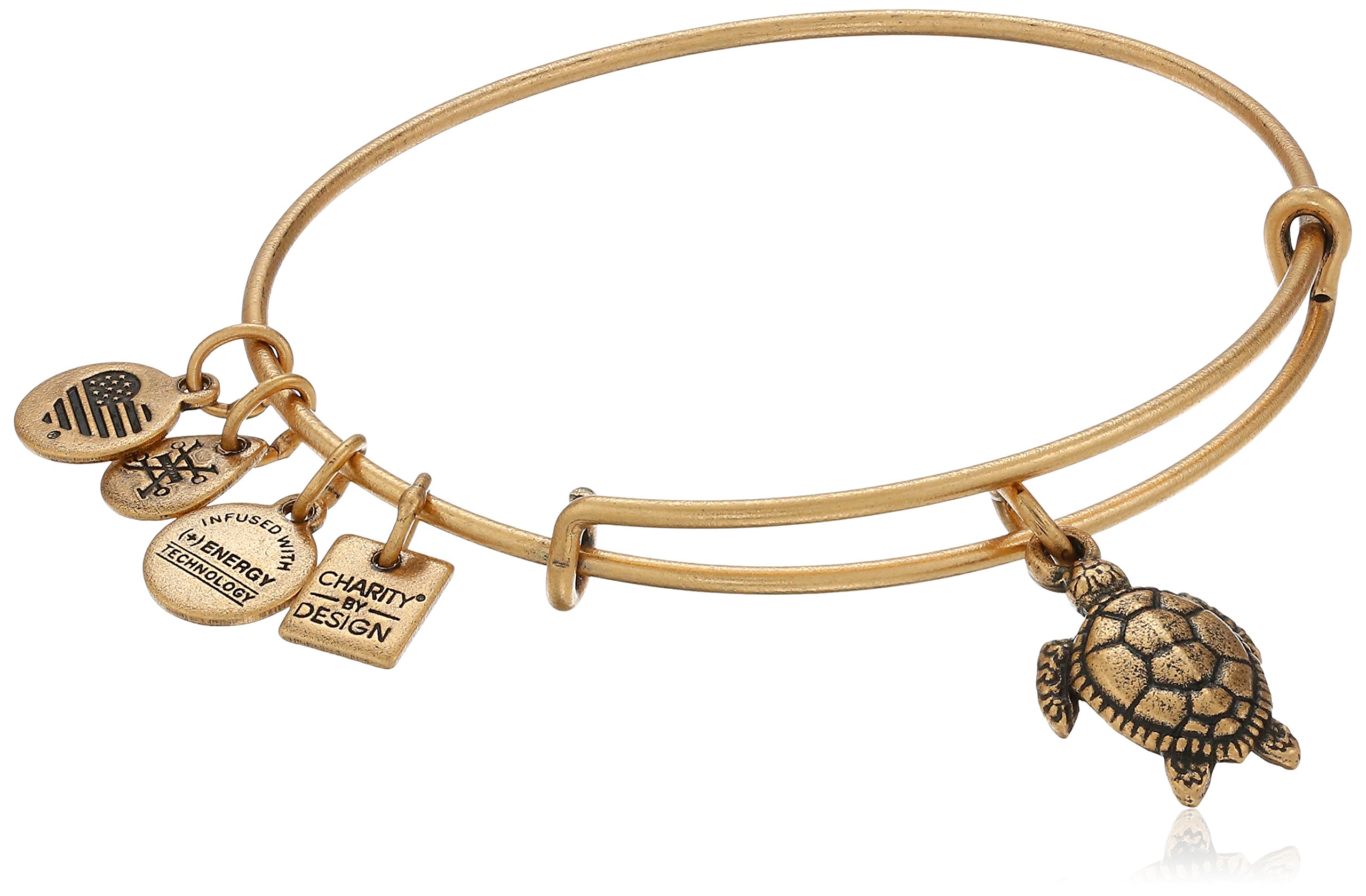 Alex and Ani Charity By Design Turtle Rafaelian Bangle