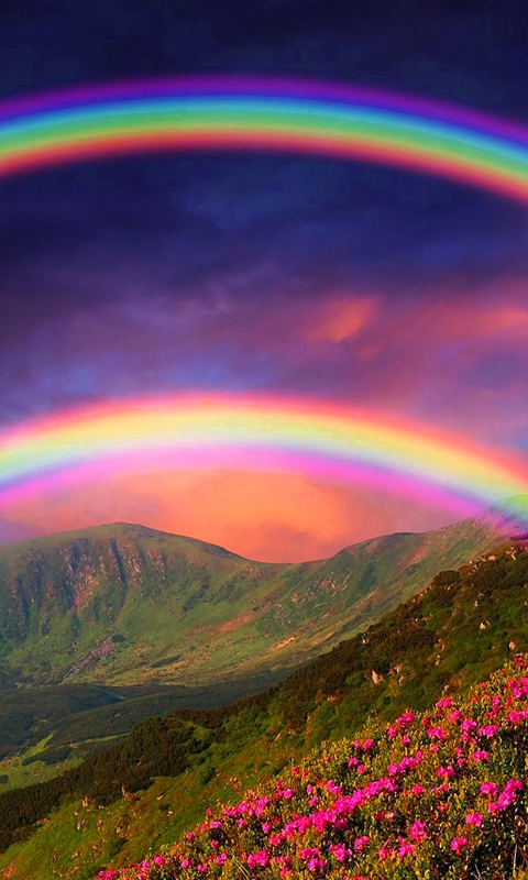 虹の壁紙 Amazon Co Jp Appstore For Android