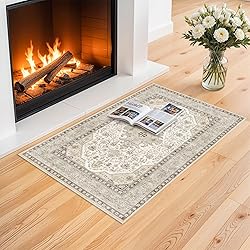 HILORUUG Washable Area Rug 2x3 - Entryway Living