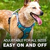 Embark Pets Urban Dog Harness No Pull Front Back Leash Clips Adjustable view 5