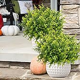 NETAP Outdoor Artificial Flowers UV Resistant, 20 Bundles Fake Realistic Floral Greenery Plants for Outside Porch, Window Boxes, Garden, Yard, Inside Home Table Decor, Green