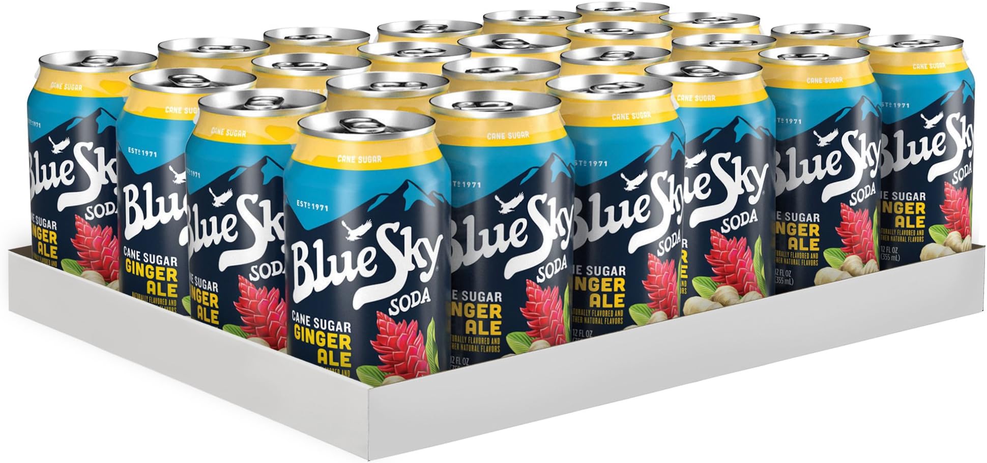 Blue Sky Cane Sugar Soda, Ginger Ale, 12 Ounce (Pack of 24)