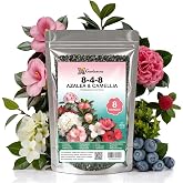 𝐁𝐄𝐒𝐓𝐒𝐄𝐋𝐋𝐄𝐑 Premium 8-4-8 Acidic Fertilizer for Azaleas, Camellias, Hydrangeas, Blueberries, Gardenias, Magnolia Trees, Evergreens and Rhododendrons - Ideal Iron-Rich Plant Food [8 OZ]