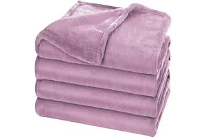 ZEQPZE Fleece Blanket Lightweight Throw Blankets for Sofa,Couch,Bed,Super Soft Cozy Microfiber Blanket(Lilac，6080)