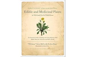 Identifying & Harvesting Edible and Medicinal Plants (And Not So Wild Places): The Essential Guide to Finding and Using Delic