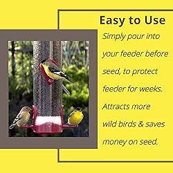 Sapphire Labs Feeder Fresh Bird Feeder and Seed