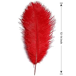 THARAHT Red Ostrich Feathers 12pcs Large Natural