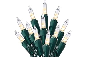 Joiedomi Clear Christmas String Lights Indoor,100 Count Mini Warm White Fairy Light,19.4 FT Lighting Decor for Patio Dorm Classroom Bedroom Holiday Wedding Party Garland Birthday Festival,Green Wire