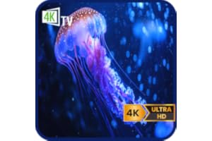 Sleep Tank: Jellyfish-Jellyfish Aquarium for Mindful sessions or Sleep