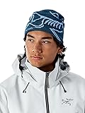Arc'teryx Bird Head Toque | Our Classic Winter