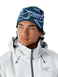 Arc'teryx Bird Head Toque | Our Classic Winter