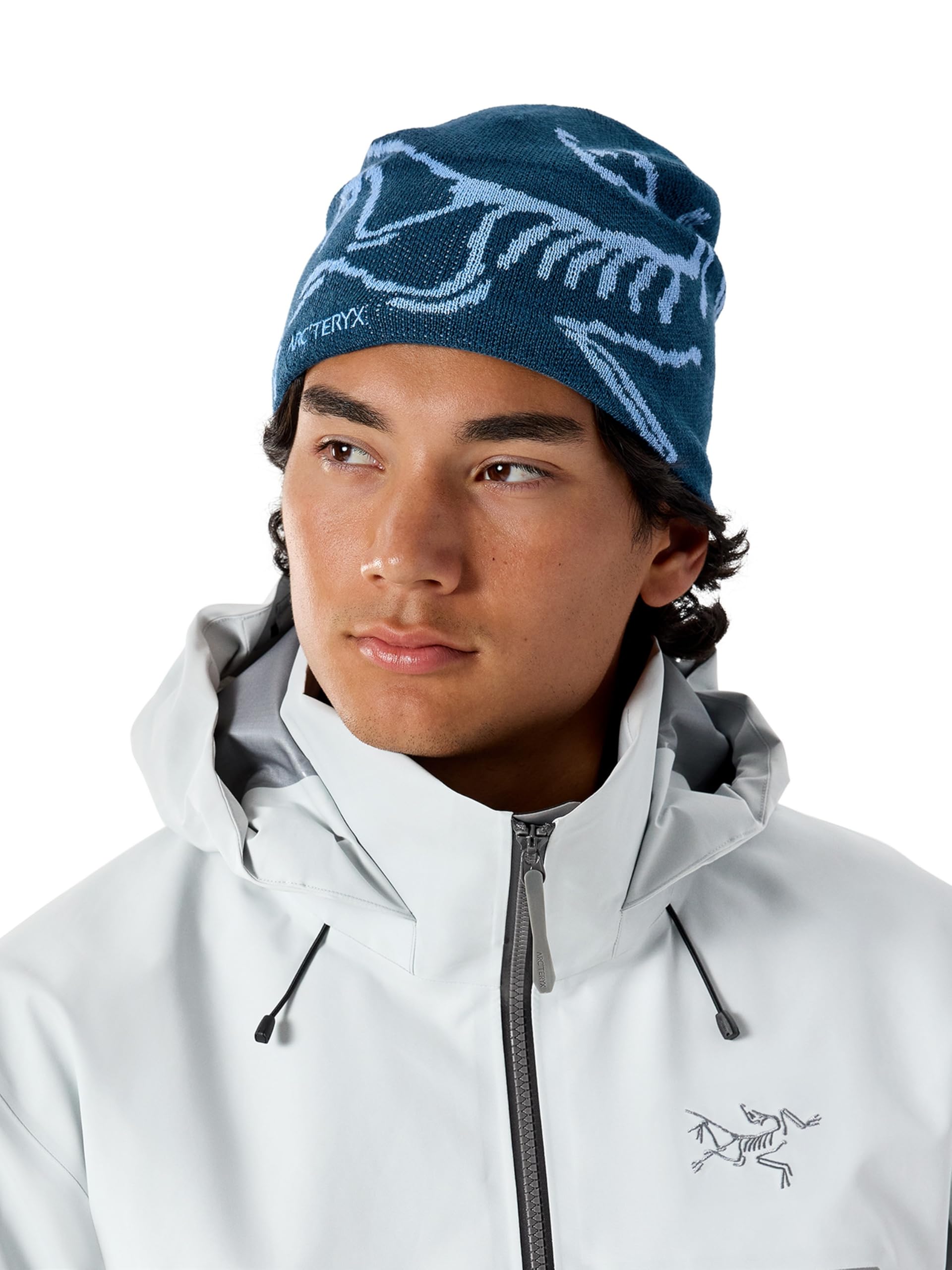 Arc'teryx Bird Head Toque | Our Classic Winter