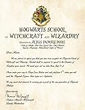 Personalized Harry Potter Acceptance Letter - Hogwarts School of Witchcraft and Wizardry