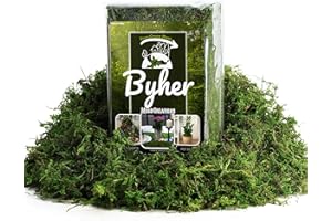 BYHER 16OZ Bulk Artificial Moss for Plants Indoor - Realistic Green Moss for Crafts, Fairy Garden Decor, Potted Plants, Olive