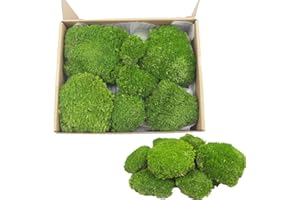 FAICOIA Preserved Pillow Moss Bulk Green Moss Balls for Bowls Waterproof 1.08 sq.ft Natural Green Decorative Preserved Pole Moss Pillow for Wall Art Terrariums Crafts Fairy Gardens Pot Plants Easter