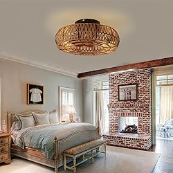 Letmarey 20" Caged Ceiling Fans with Lights and