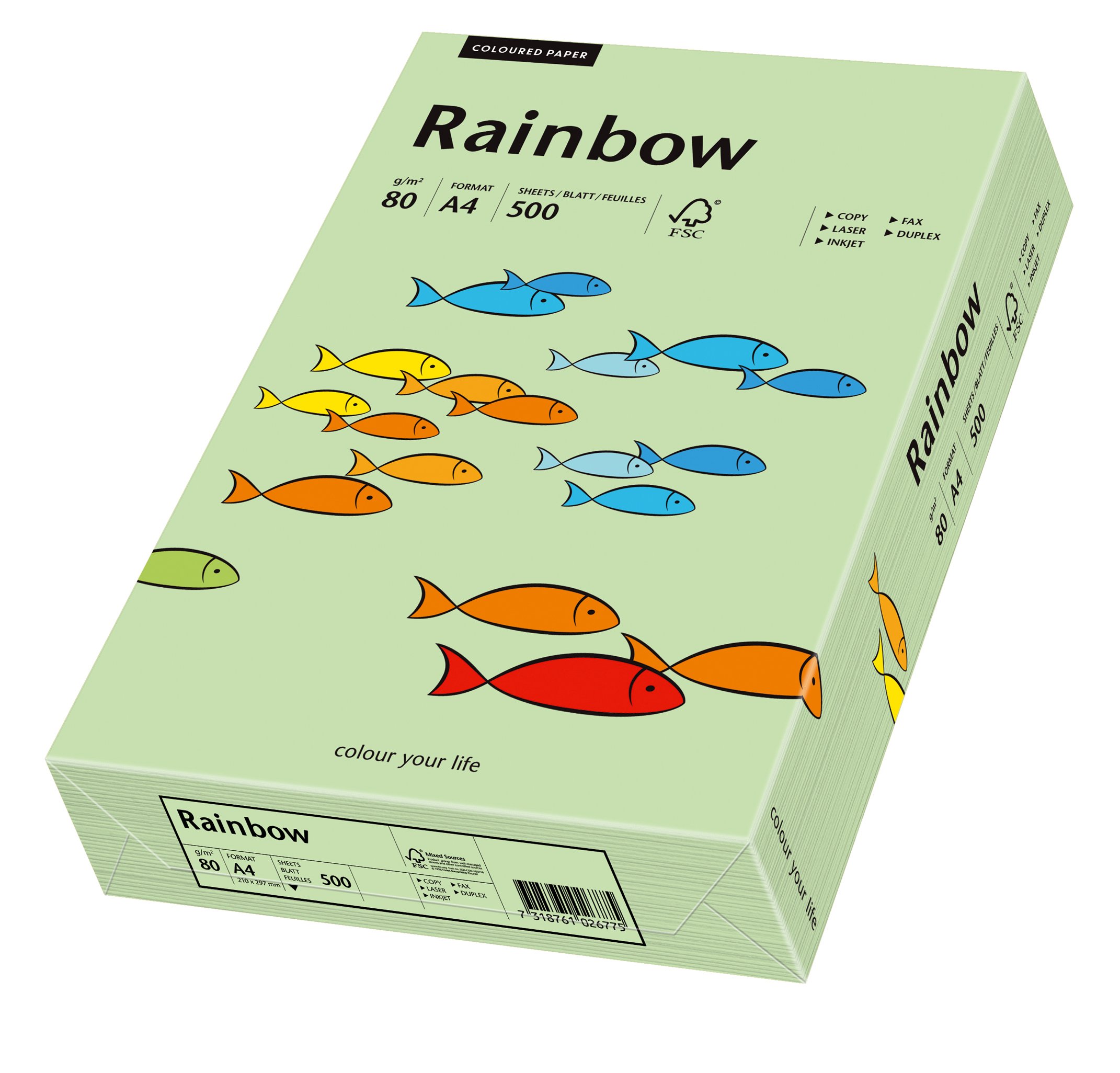 Schneidersöhne 88042629, Multi-Purpose Paper Rainbow, Coloured Paper, A4, 80 g/m2, 500 Sheets, Medium Green