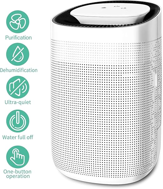 Explore the 15 Best Quietest Air Purifier Reviewed Home Ionizer