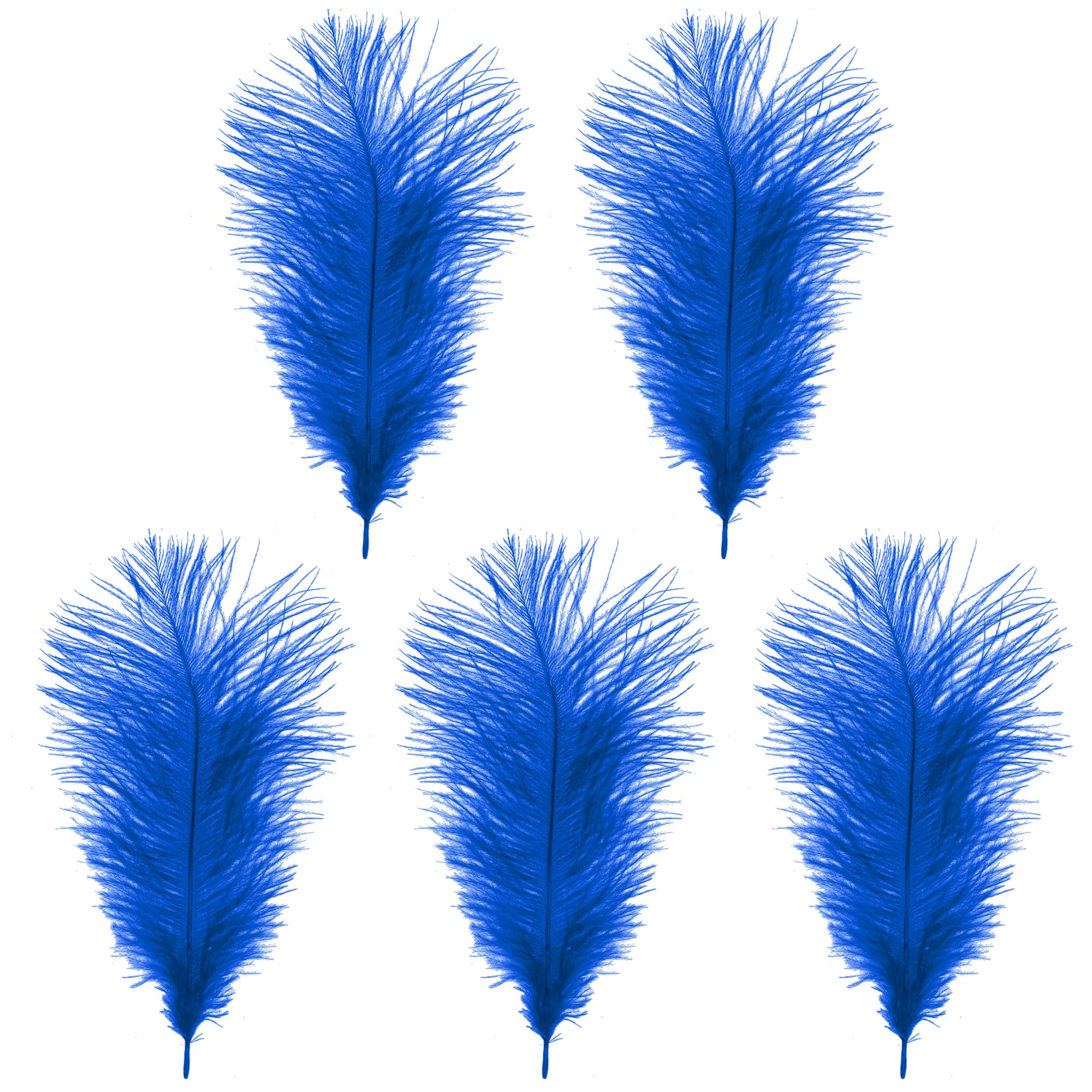 WedDecor Royal Blue Natural Ostrich Feathers 14-16" (35-40cm) Long for Wedding Centerpieces, Home, Decorating Costumes, Embellishment, Art & Craft, Parties (Pack of 5)
