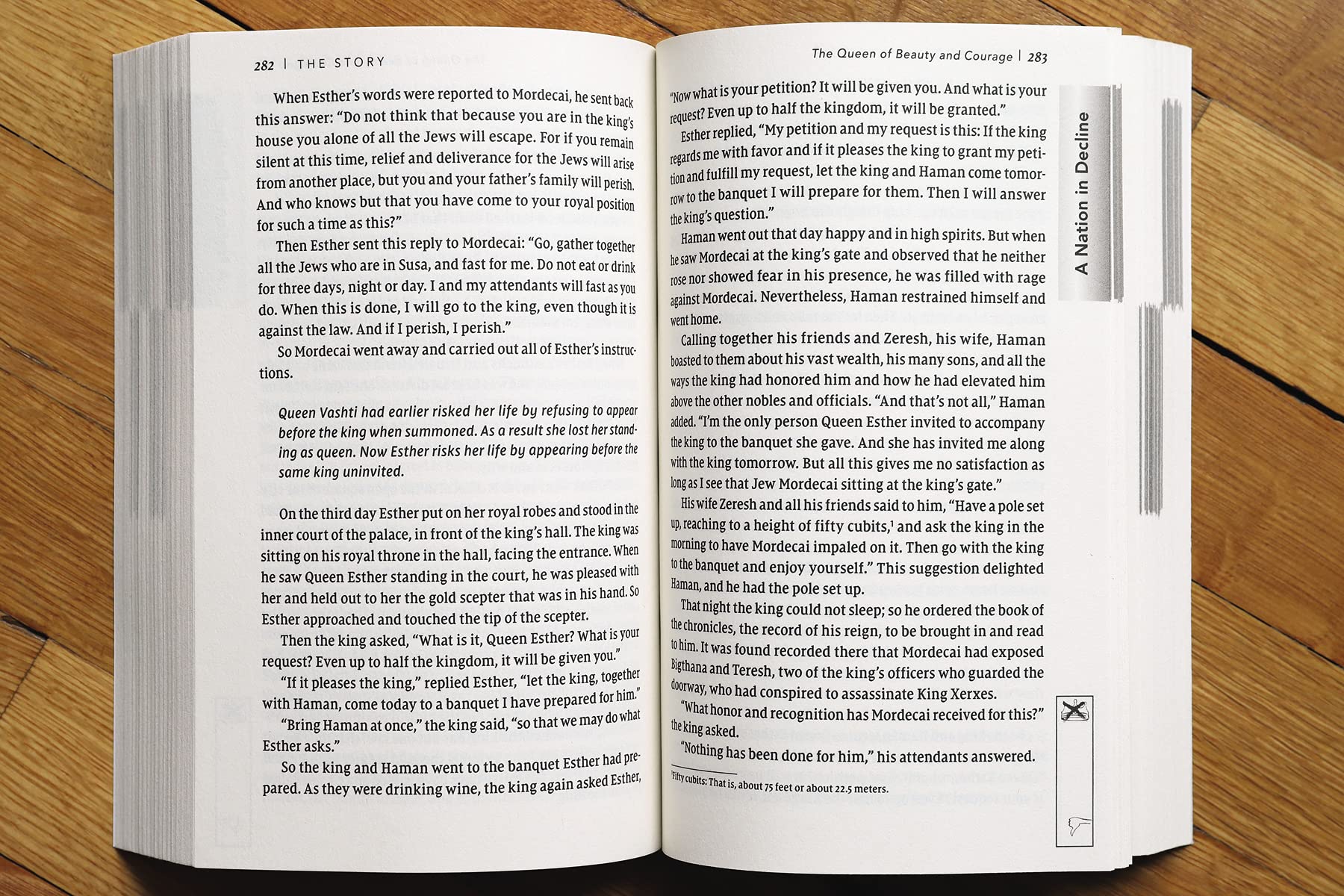 NIV, The Story, Student Edition, Paperback, Comfort Print: The Bible as One Continuing Story of God and His People