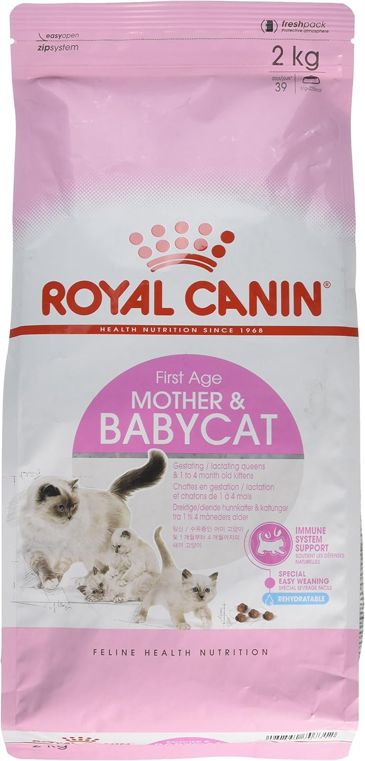 Royal Canin Comida para gatos Babycat 2 Kg: Amazon.es: Productos ...