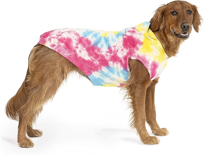 cool factor hoodie canada pooch