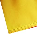 AZ FLAG Macedonia Flag 2x3 ft 100D Polyester with Two Brass Grommets view 4