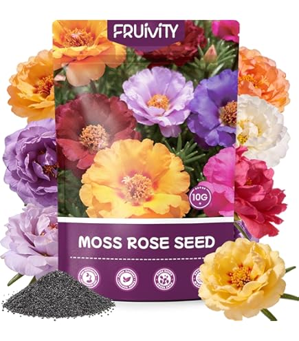 Amazon.com : Marigold Seeds for Planting - 1,200+ Seeds - Beautiful Multi  Colored Flowers : Patio, Lawn & Garden