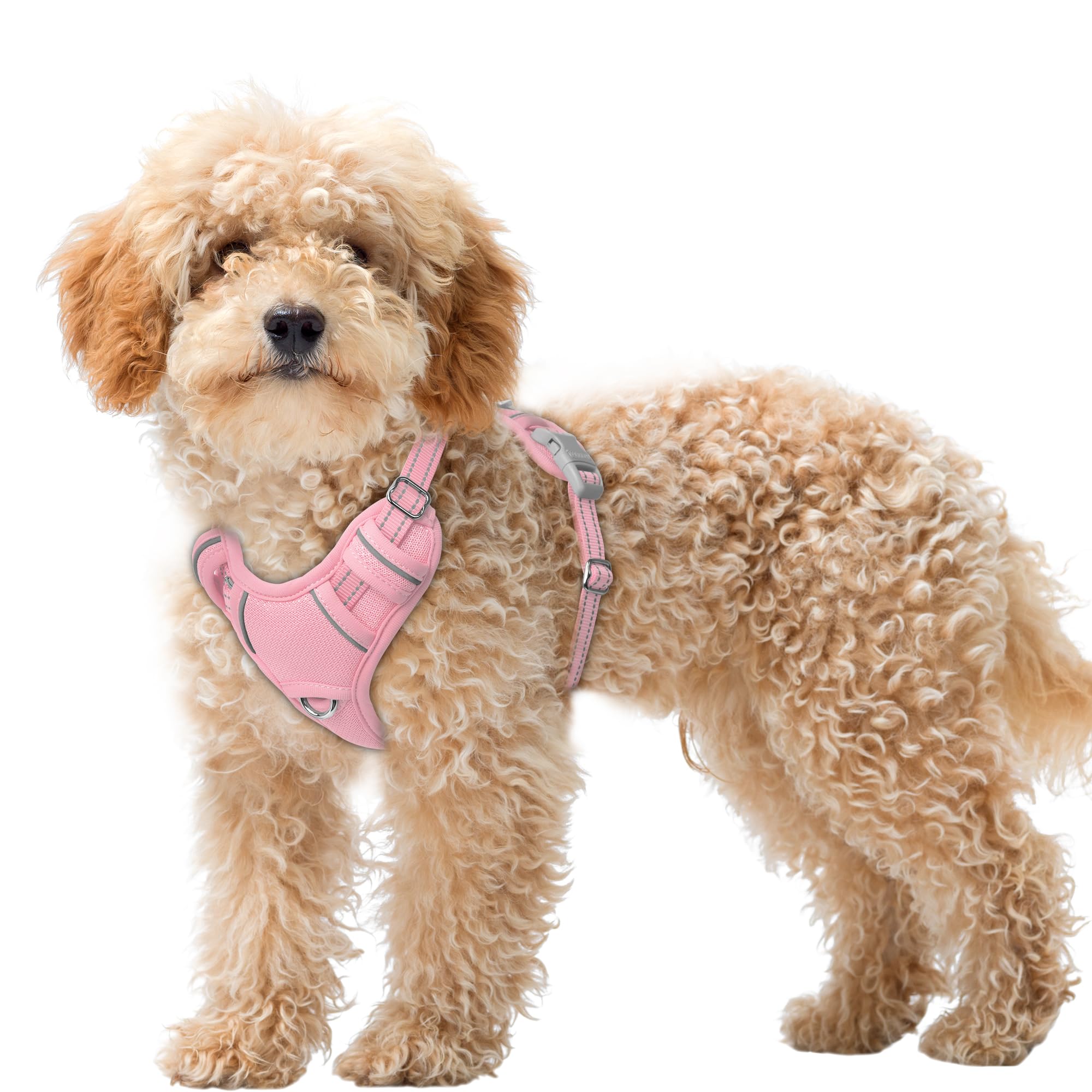 Photo 1 of BARKBAY No Pull Dog Harness Large Reflective Dog Harness with Front Clip and Easy Control Handle for Walking Training Running with ID tag Pocket(Baby Pink,XS)