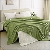 LunaHush Heated Blanket Electric Blanket King Size, 90" x 100" Fast Heating Blanket with Dual Control 8 Heating Levels & 10 Hours Auto Off, Machine Washable, ETL & FCC Certification, Green