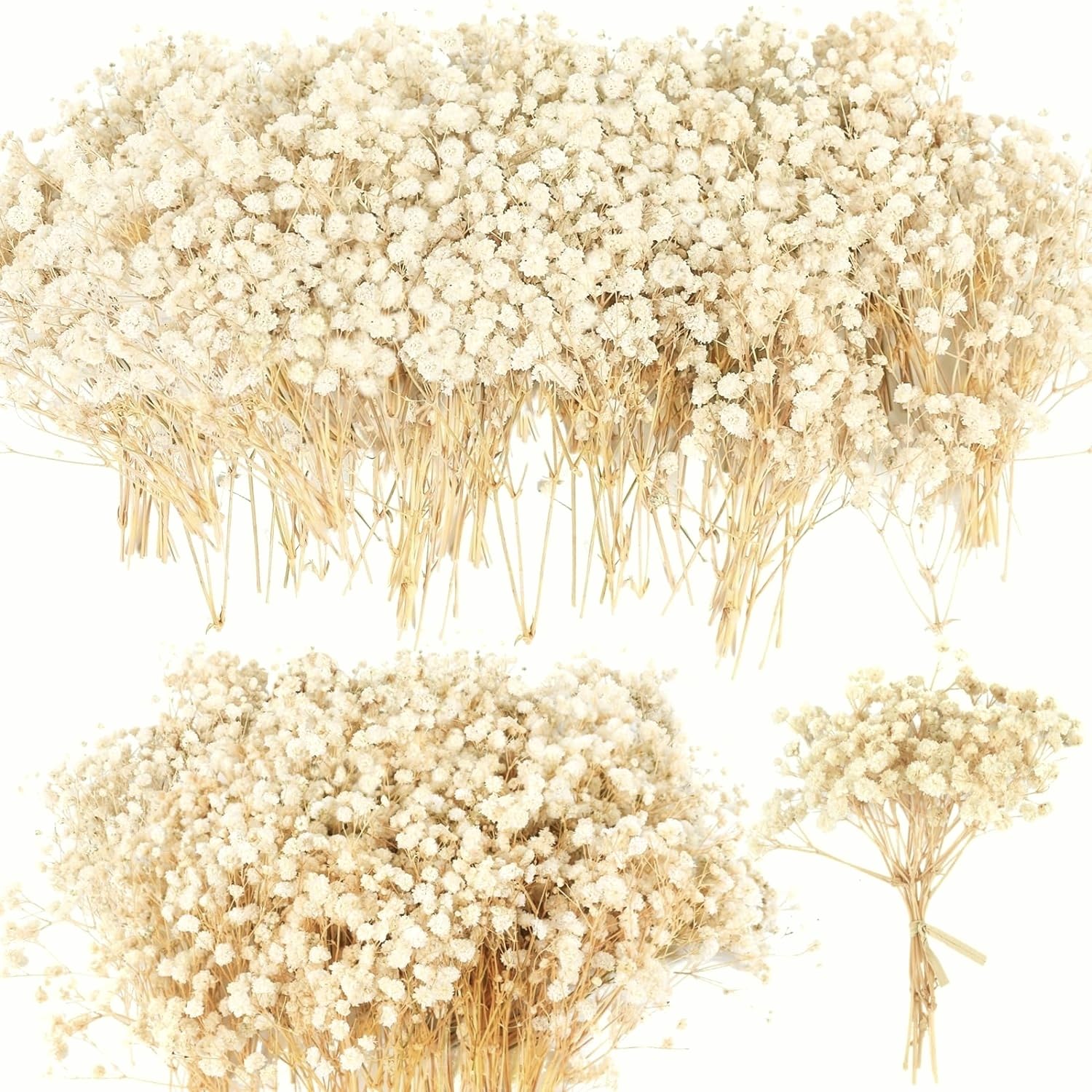 Photo 1 of 4700+ Mini Dried Babys Breath Flowers, 90+Pcs Ivory White Baby Breath Flower Bulk, Dried Flowers for Crafts, Wedding Decor Boho Invitation, Resin Candle Making, Dry Babies Flowers, Rustic Gypsophila