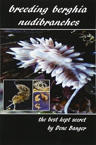 Download Breeding Berghia Nudibranches the best kept secret PDF